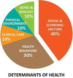 pie chart of determinants of health